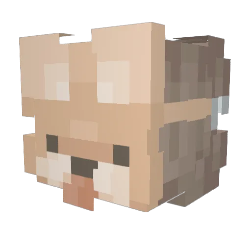 lc4093 Minecraft avatar head, 3D render