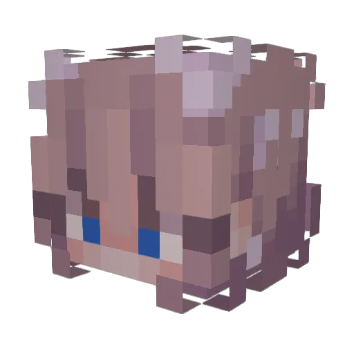 lclancy30x Minecraft avatar head, 3D render