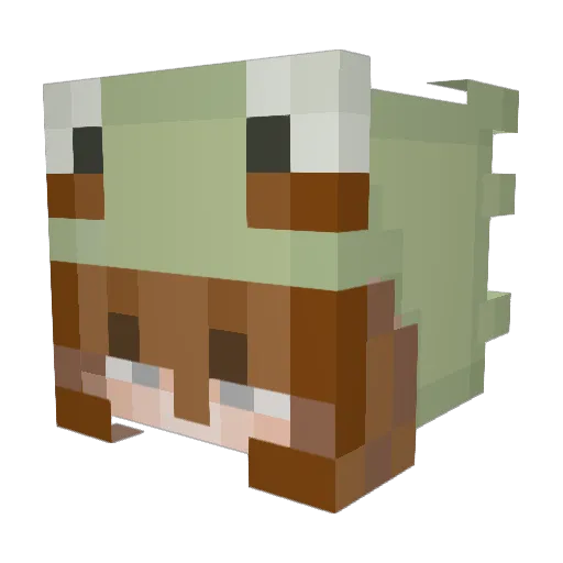lcxnar Minecraft avatar head, 3D render