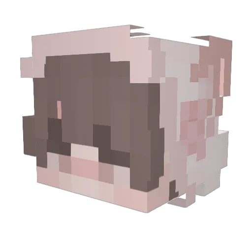 lcyblue Minecraft avatar head, 3D render