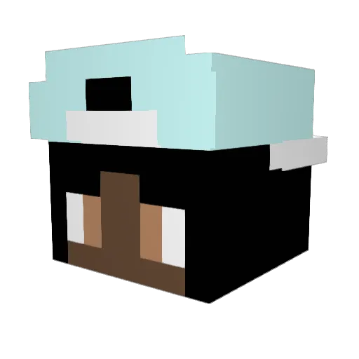ldolphin240 Minecraft avatar head, 3D render