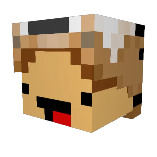 ldude12345 Minecraft avatar head, 3D render