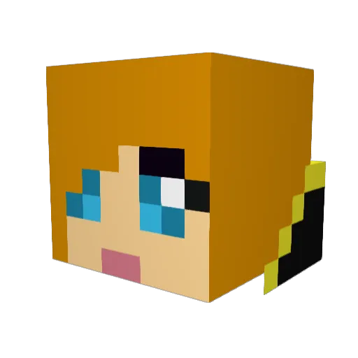 ldy666 Minecraft avatar head, 3D render