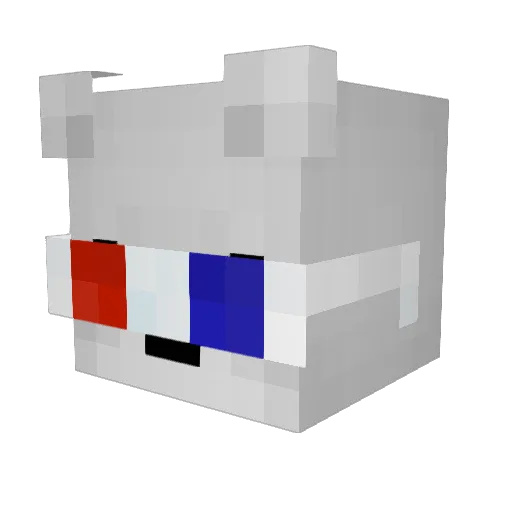 lePankiQLS Minecraft avatar head, 3D render