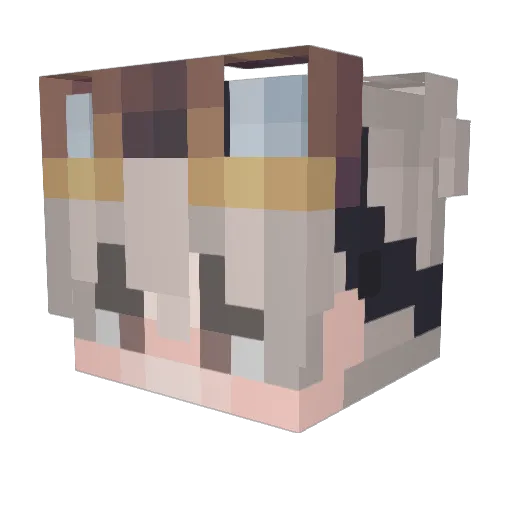 leSnowey Minecraft avatar head, 3D render