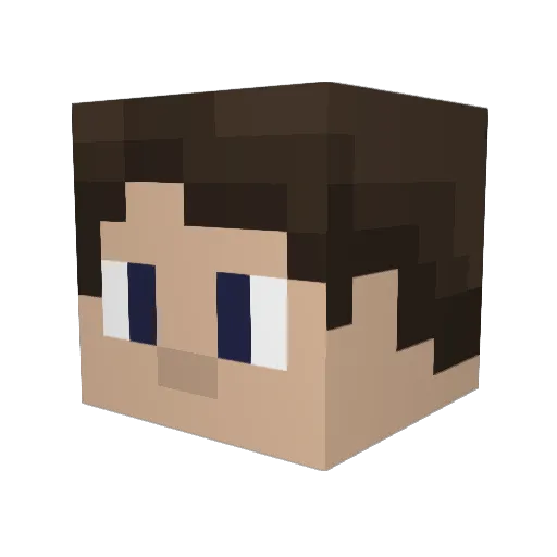 leTacoLP Minecraft avatar head, 3D render