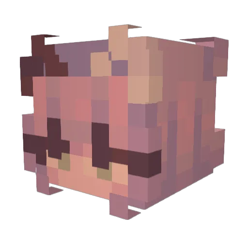 le_foxx Minecraft avatar head, 3D render
