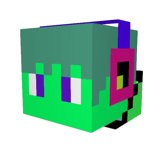 leach_pro_ Minecraft avatar head, 3D render