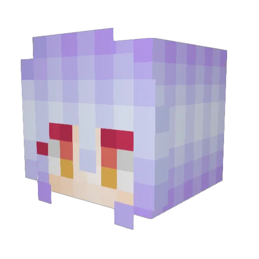 leachopsuey Minecraft avatar head, 3D render