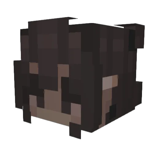 leadedspunk Minecraft avatar head, 3D render