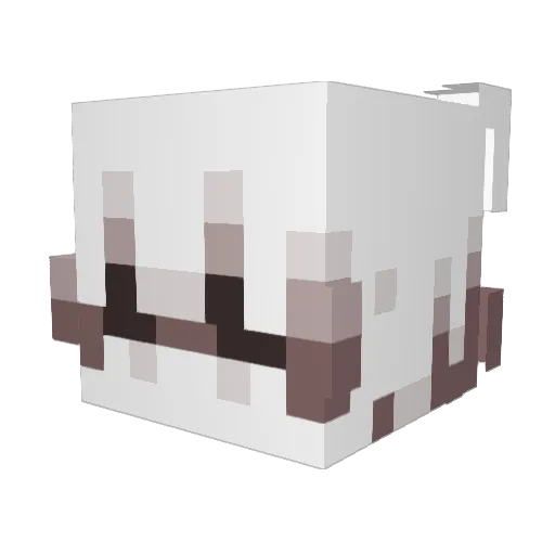 leaderRIDO Minecraft avatar head, 3D render
