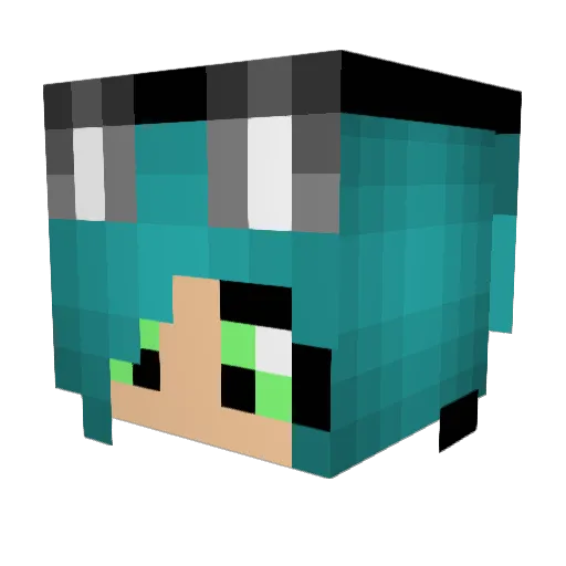 leadsailspaper Minecraft avatar head, 3D render