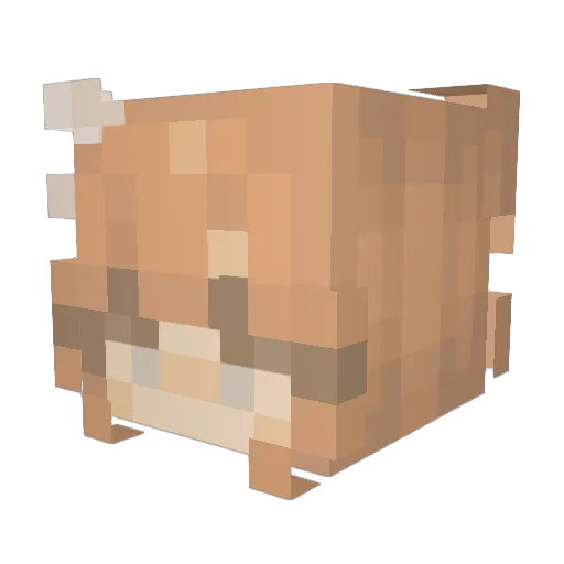 leaf0o Minecraft avatar head, 3D render