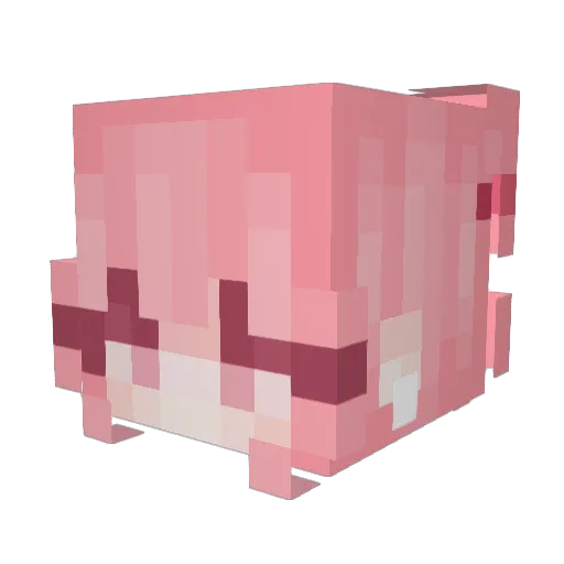 leafeono Minecraft avatar head, 3D render