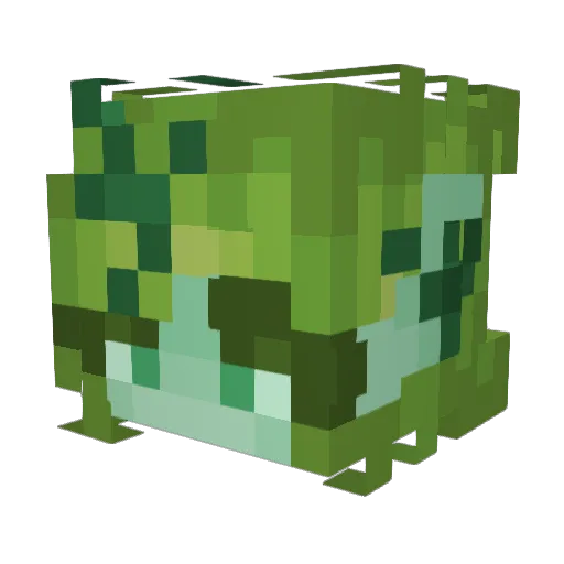 leafmamba Minecraft avatar head, 3D render