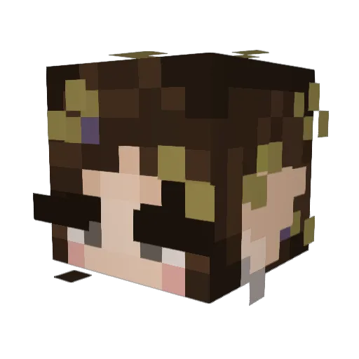leafydecays Minecraft avatar head, 3D render
