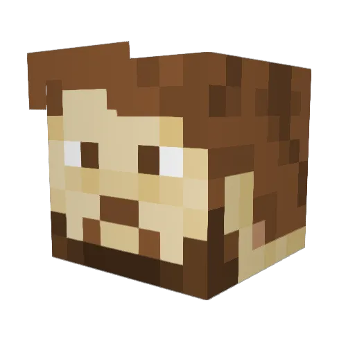 leafysensei Minecraft avatar head, 3D render