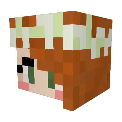 leahskee Minecraft avatar head, 3D render
