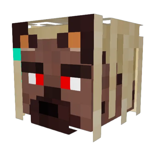 leakedwlr Minecraft avatar head, 3D render