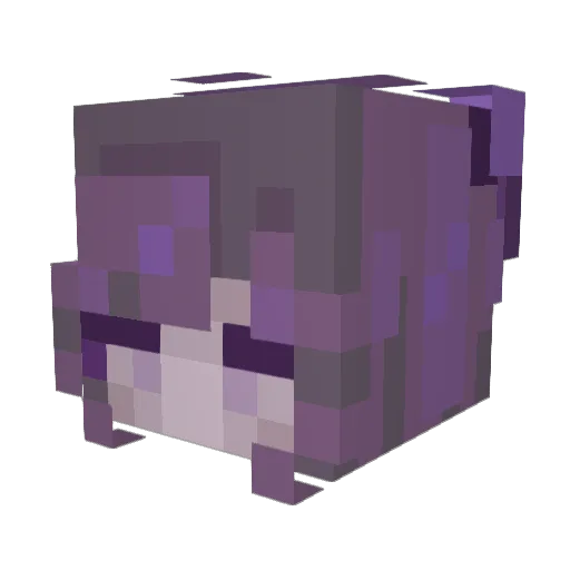 lealseal Minecraft avatar head, 3D render