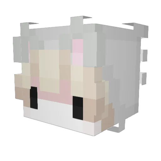 lean2654 Minecraft avatar head, 3D render