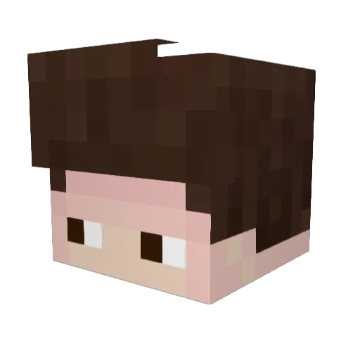 lean455 Minecraft avatar head, 3D render