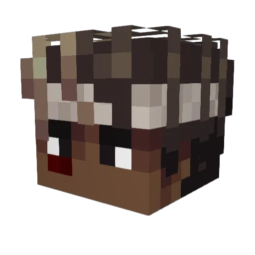 leanclanmember Minecraft avatar head, 3D render