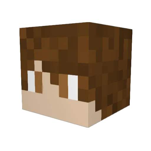 leandero19 Minecraft avatar head, 3D render