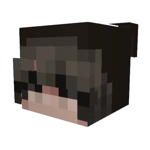 leandro_ls Minecraft avatar head, 3D render