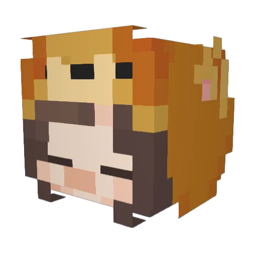 leaozinhoo Minecraft avatar head, 3D render