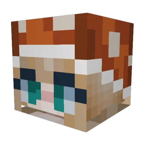 leapingbean420 Minecraft avatar head, 3D render