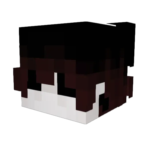 learn4 Minecraft avatar head, 3D render