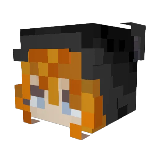 learnS2 Minecraft avatar head, 3D render