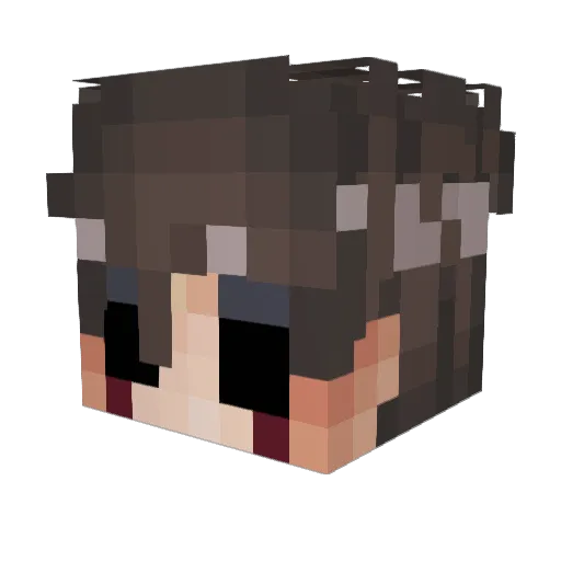 learnsomemoney Minecraft avatar head, 3D render