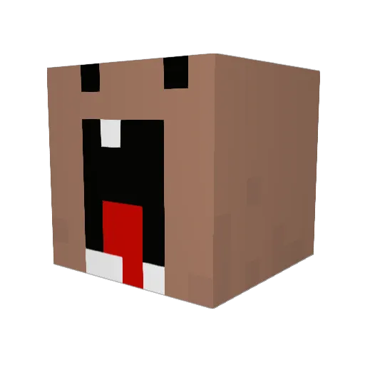 learntofly101 Minecraft avatar head, 3D render