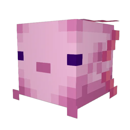 leavemealone4 Minecraft avatar head, 3D render
