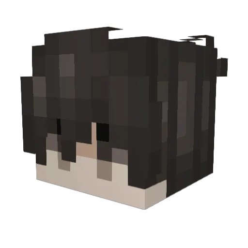 lebe52 Minecraft avatar head, 3D render