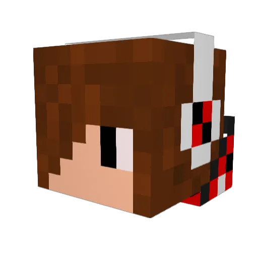 lebigdragondu76 Minecraft avatar head, 3D render