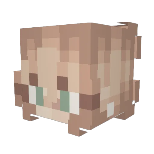 lebiscuits Minecraft avatar head, 3D render