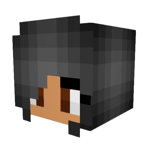 lebronn_jaymes Minecraft avatar head, 3D render