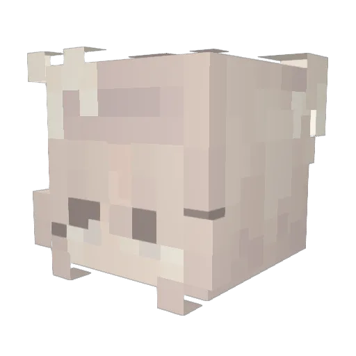 lebronnius Minecraft avatar head, 3D render