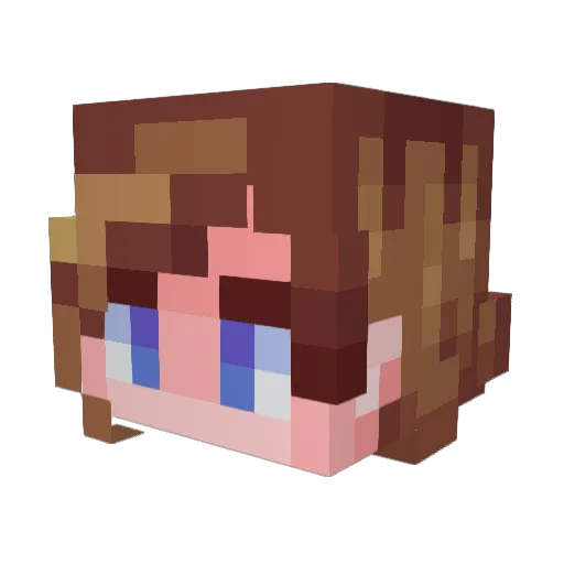 lecetup Minecraft avatar head, 3D render