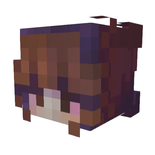lechonque Minecraft avatar head, 3D render