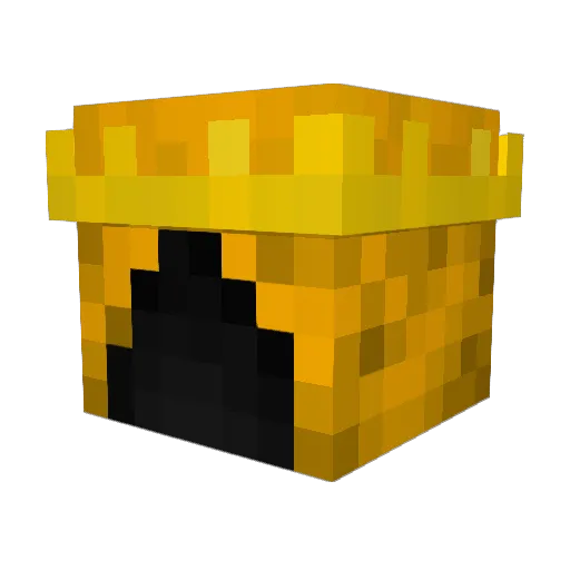 lecopyjegold1 Minecraft avatar head, 3D render