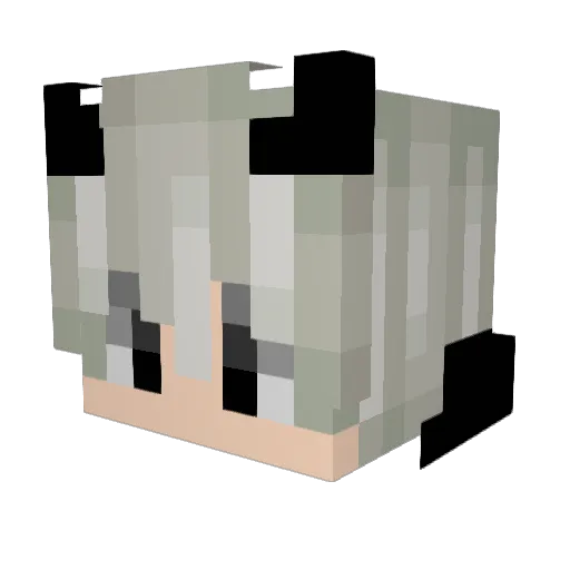 ledet640 Minecraft avatar head, 3D render