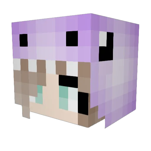 lediz Minecraft avatar head, 3D render