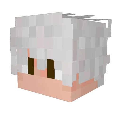 ledze101 Minecraft avatar head, 3D render