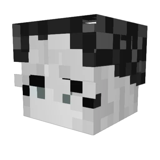 lee2301 Minecraft avatar head, 3D render