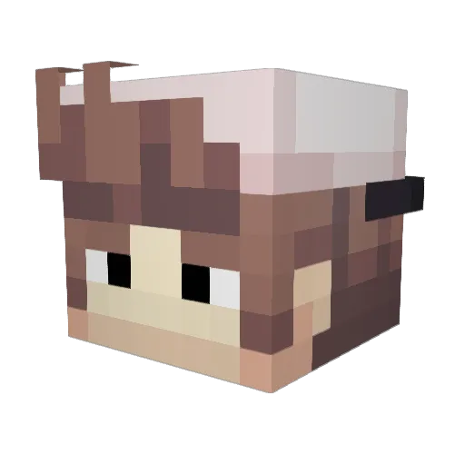 lee3345 Minecraft avatar head, 3D render