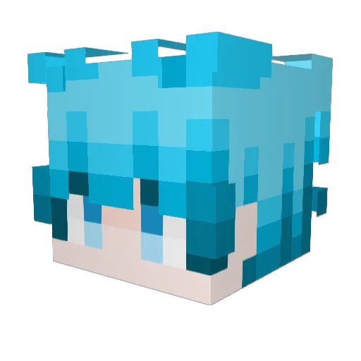 lee_sm0202 Minecraft avatar head, 3D render